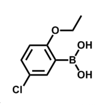 5-CHLORO-2-ETHOXYPHENYLBORONIC ACID CAS 352534-86-2